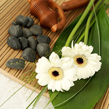 Best Russian Body Massage Spa Center Parlour Near Me In Mahipalpur Delhi 2 2 Best Russian Body Massage Spa Center Parlour Near Me